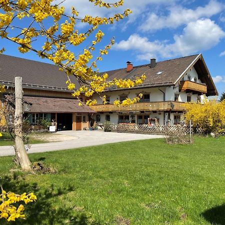 Ferienwohnungen Dopplerhof 皮丁 外观 照片