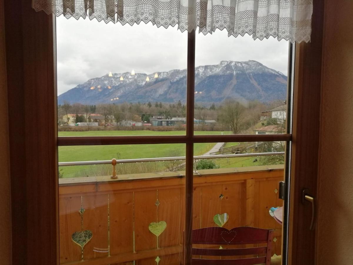 Ferienwohnungen Dopplerhof 皮丁 外观 照片