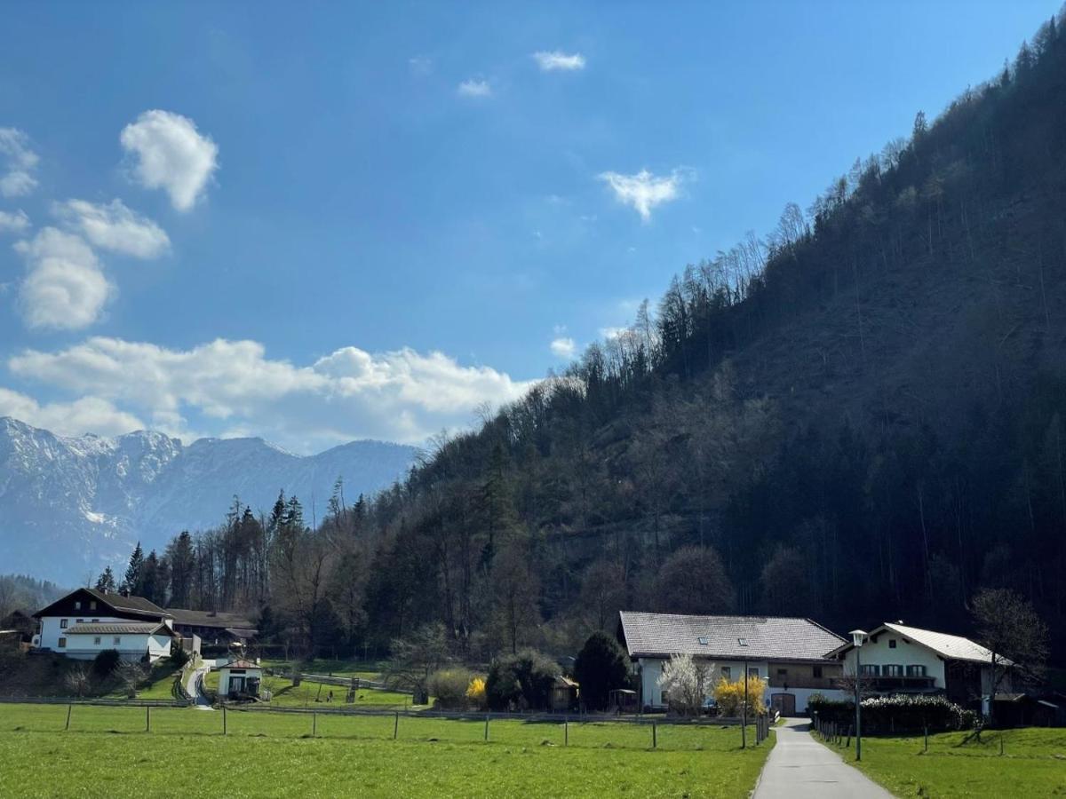 Ferienwohnungen Dopplerhof 皮丁 外观 照片