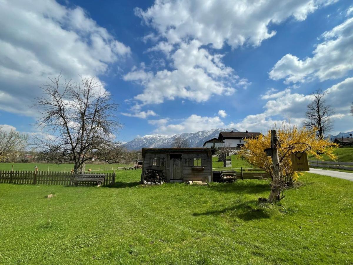 Ferienwohnungen Dopplerhof 皮丁 外观 照片