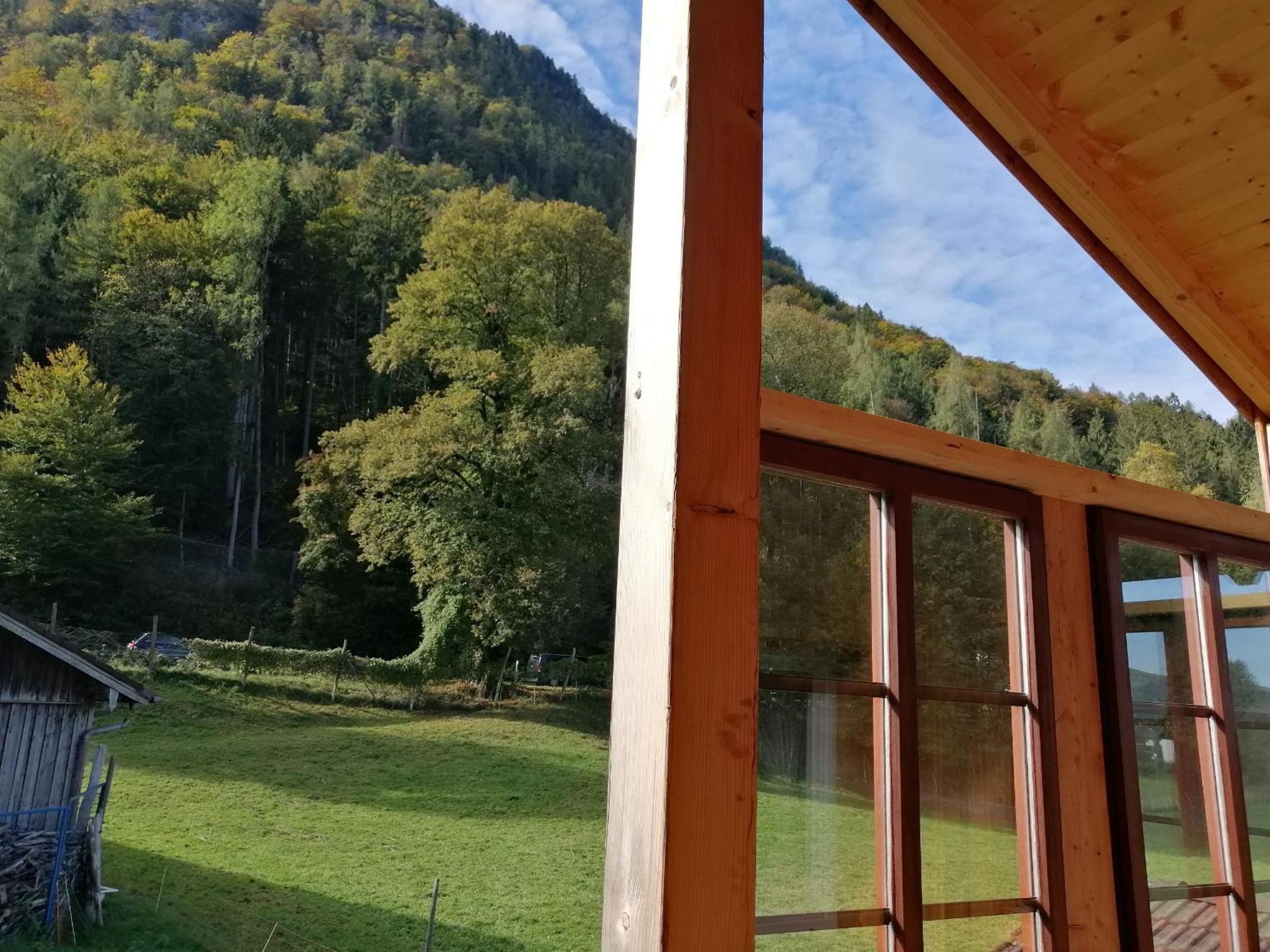 Ferienwohnungen Dopplerhof 皮丁 外观 照片